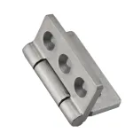 XG02-100 Piccola cerniera in acciaio inox 50×50 mm
