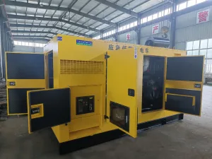 Generator enclosure service doors with surface-mounted hinges for engine access and maintenance